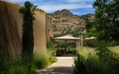 Wineries in Napa & Sonoma with the Best Vineyard Views