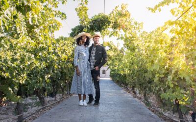 Kenwood Wineries, Dining & Accommodations: Your Sonoma Wine Guide
